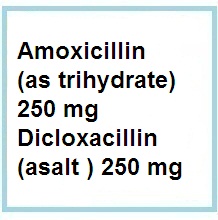 Antibiotics, penicillin