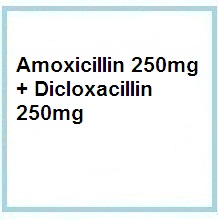 antibiotics, penicillins products