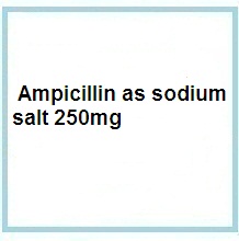 antibiotics, penicillins products