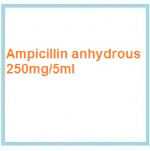 antibiotics, penicillins products