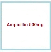 antibiotics, penicillins products