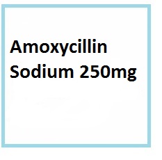 Antibiotics, penicillin