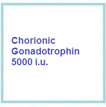 Human chorionic Gonadotrophin hormone