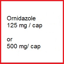 Protozoal , anaerobic bacterial infections